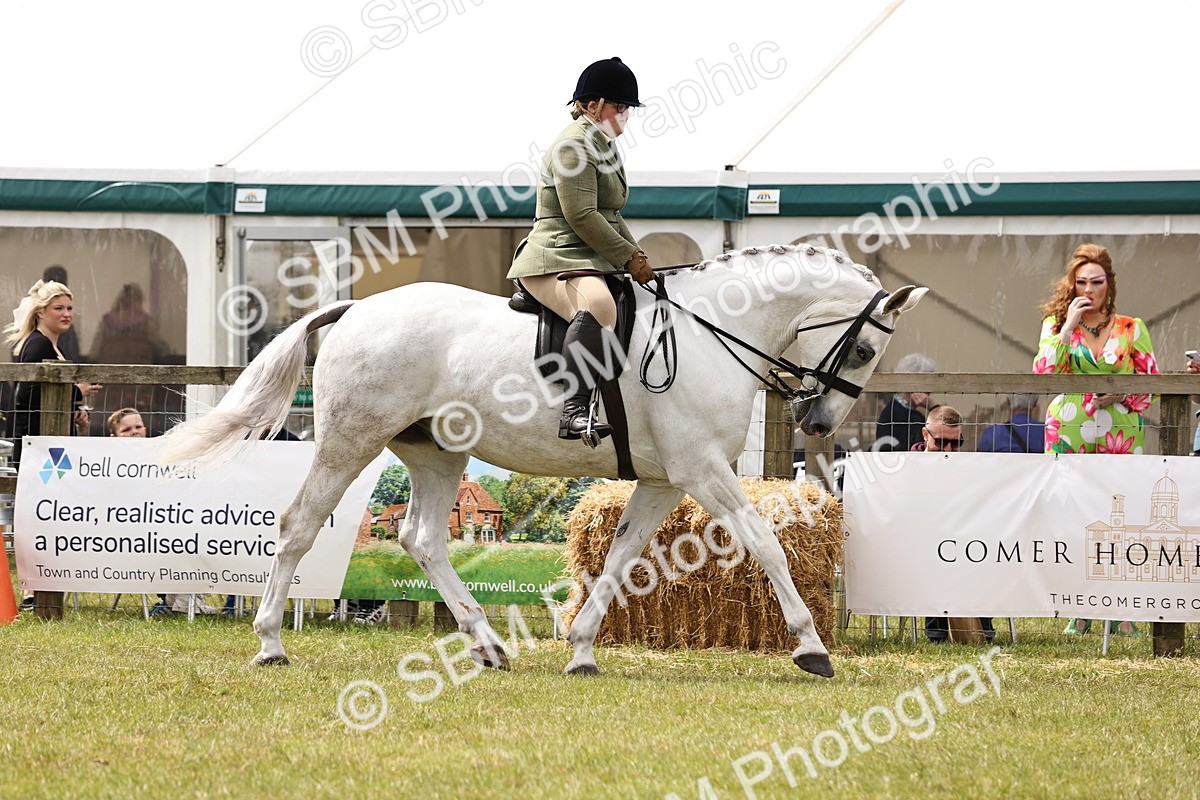 SBM_14657 - Class 88-89 - LIHS BSHA Rising Star of Ridden Hunter Type