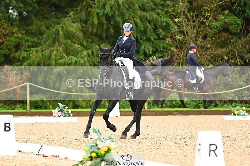 231021-115305-15012 - 343-MIDNIGHT.ROLLERCOASTER-Alison.Lidstone-DR