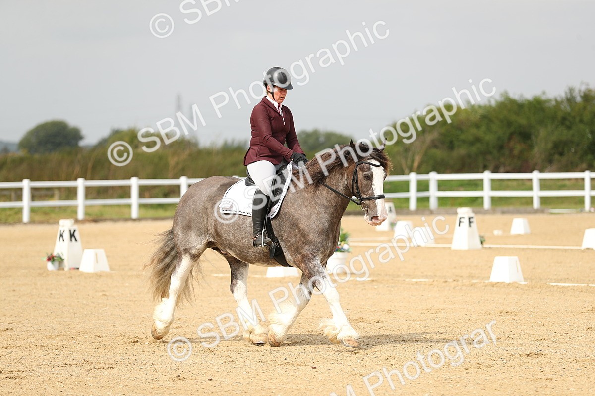 SBM_017320 - Class 13 - Novice 23 - 13.31-14.13