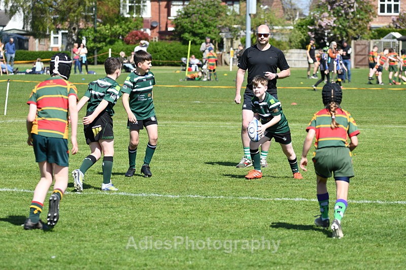  - Selby Rugby Festival 2025