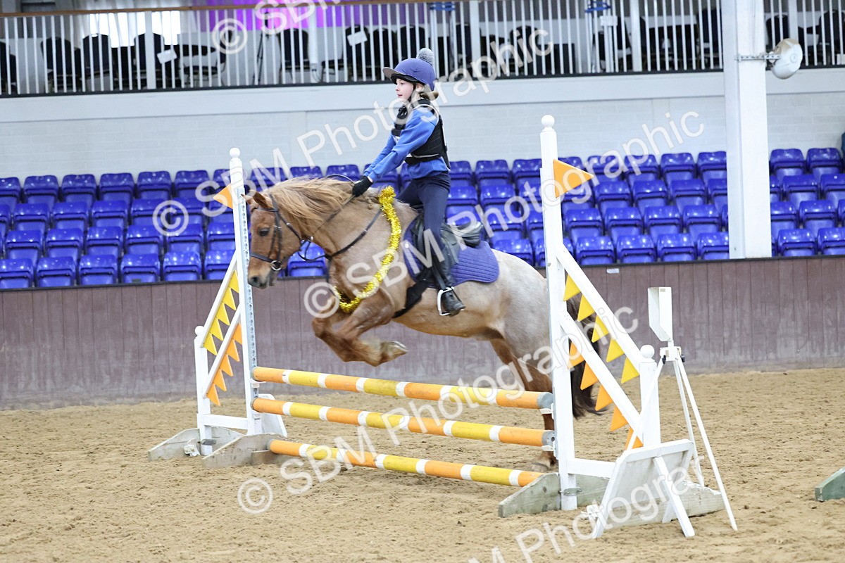 SBM_001085 - Class 3 - Christmas Tree Stakes - 60cm