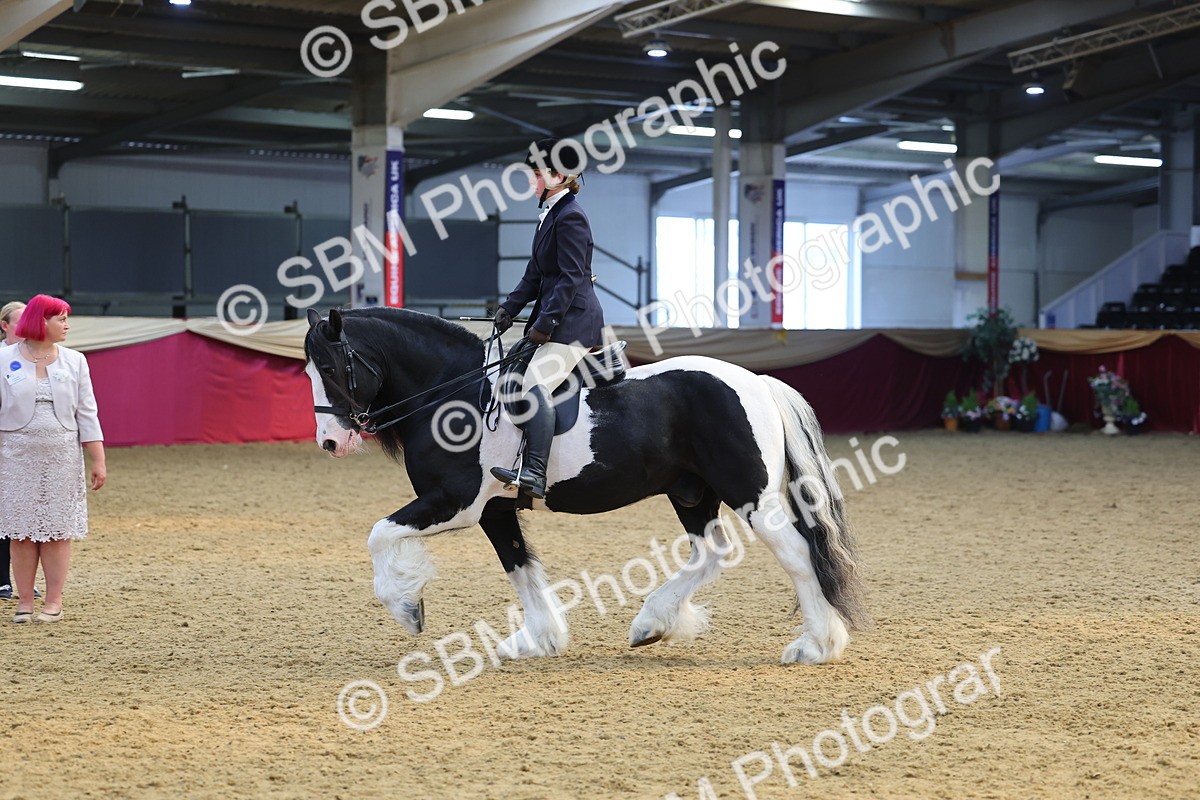 SBM_24378 - Class 906 - Supreme Final - Ridden Pre Vet