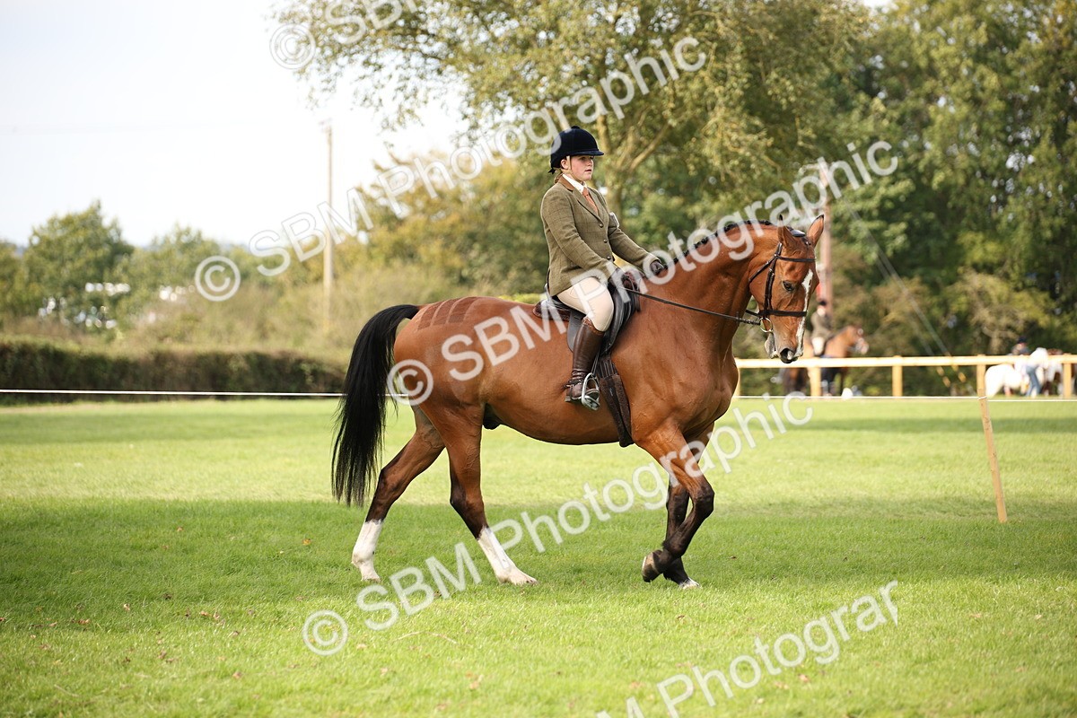 SBM_70352 - S66 - Hunter Ridden