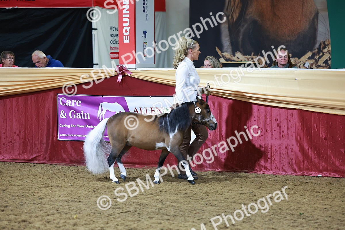 SBM_20414 - Class F - IH Small (148cm & Under)Champ