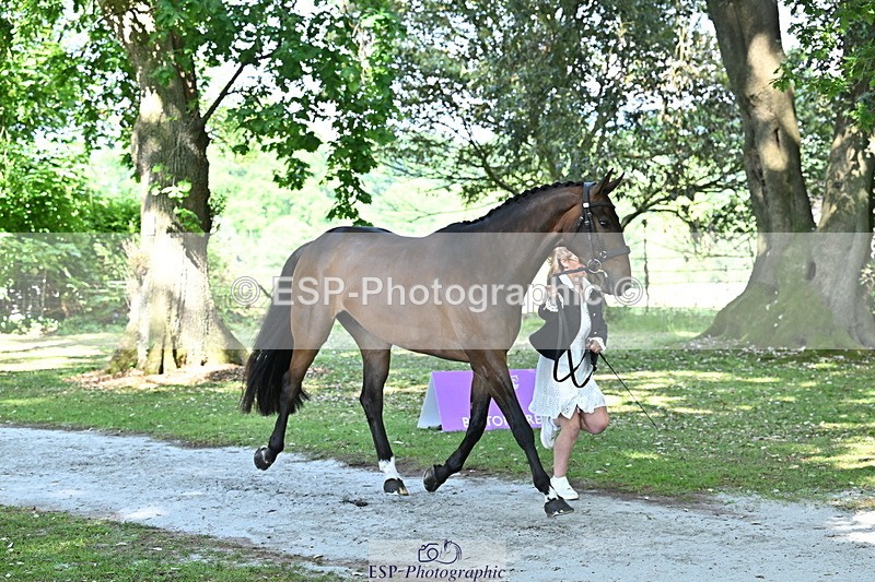 250521A-160042-00860 - C-279-Kitty.King-DASSETT.FLIGHT.PATH