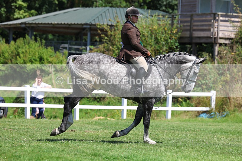 3E7A9162 - Working Hunter Championship