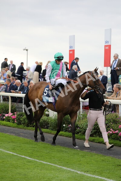 yr18082022r5-3 - Race 5 4.10pm British EBF & Sir Henry Cecil Galtres Stakes