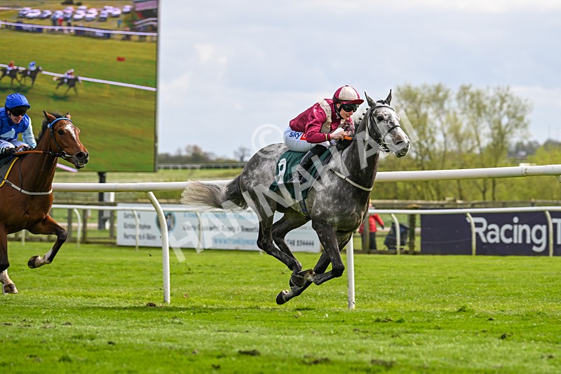 240424-Race 4-Corsican Caper-8092 - Race 4