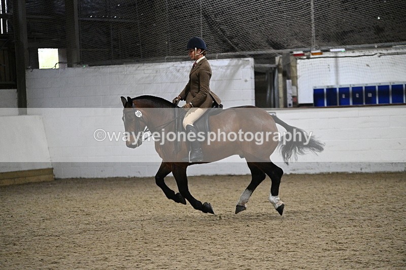 WJ7_4023 - Class 17 Ridden Cob