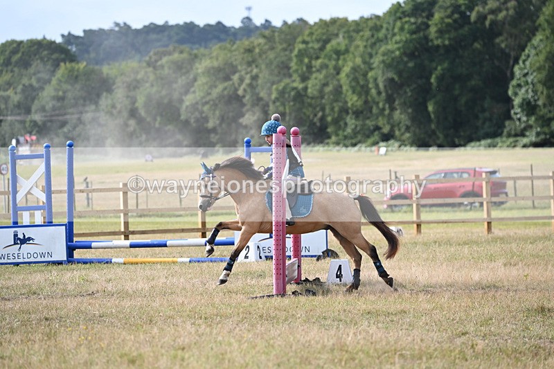 WJ6_8145 - 40cm Time 10:00 to 10:24