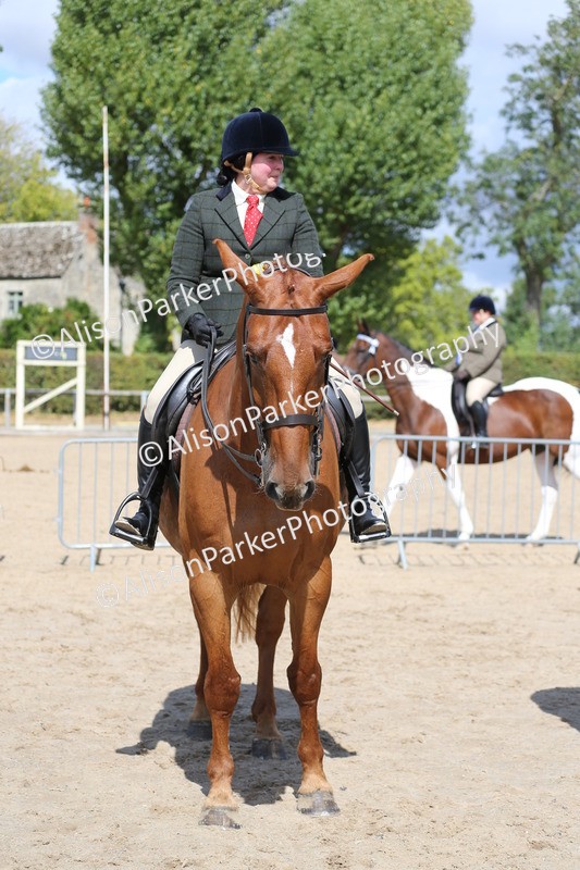 20260831-2806 - Class 16 and 17- Ridden Cob and Hunters