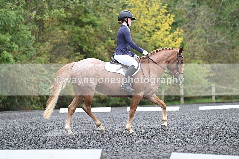 WJ7_3685 - Time 11:04 to 11:38