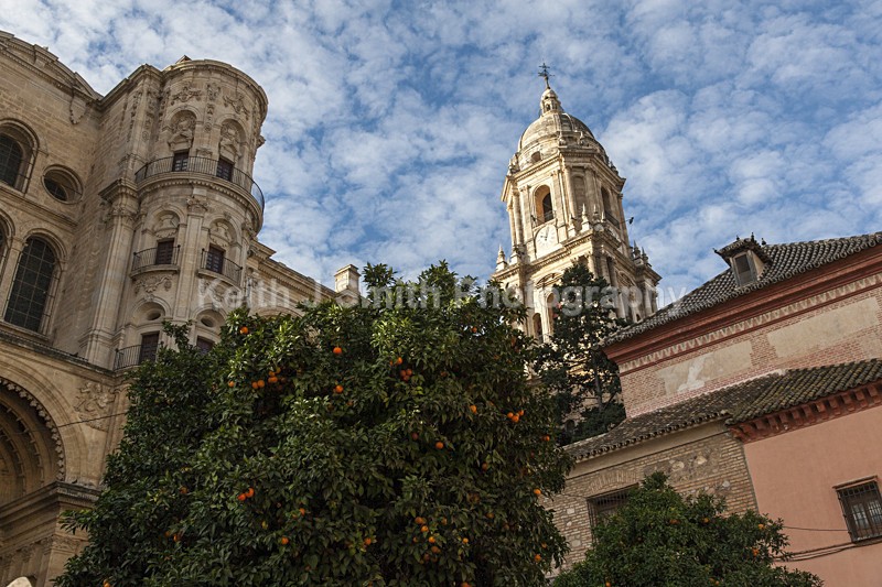 YR6M9017 - Worldwide