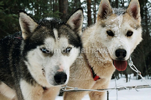  - Finland
