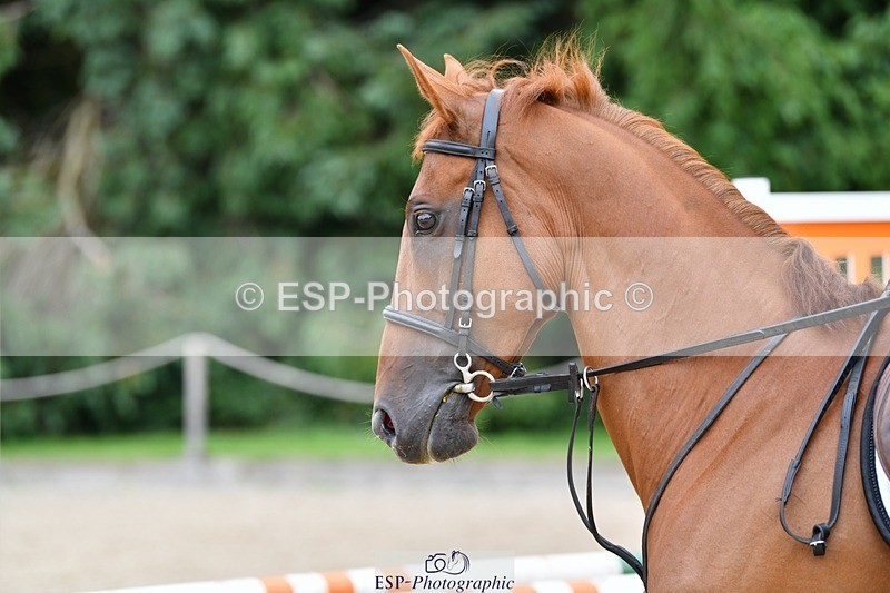 240712-104200-32805 - Cls 137 British Novice and 90cm Open