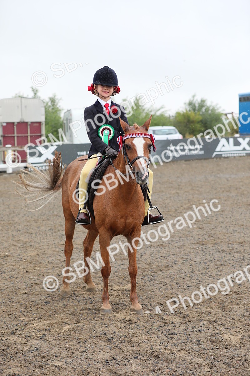 SBM_20649 - Class 804 - Ridden Veteran Pony