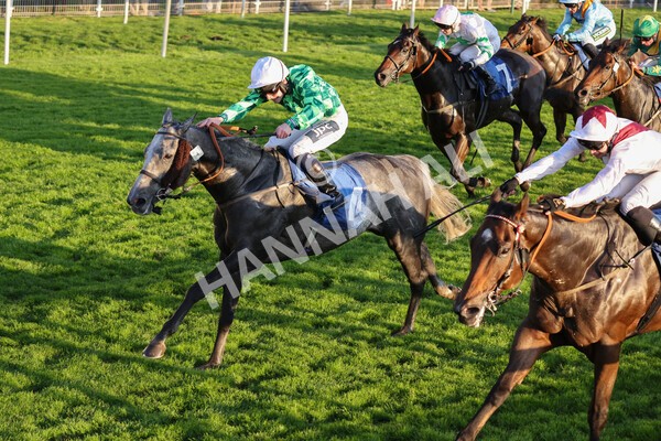 yr08102021r7-28 - Race 7 5.25pm The IRE Incentive, It Pays To Buy Irish Handicap
