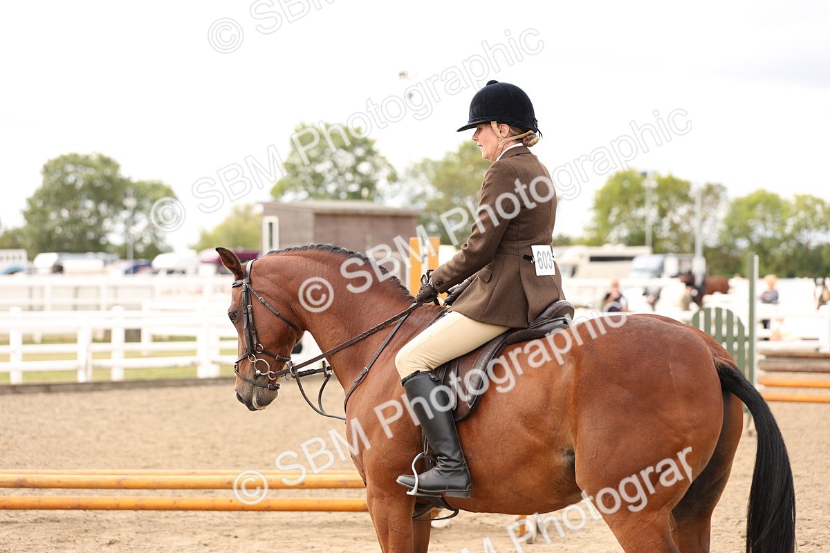 SBM_05151 - Class 56a -  Style & Performance - 50cm (15-19)