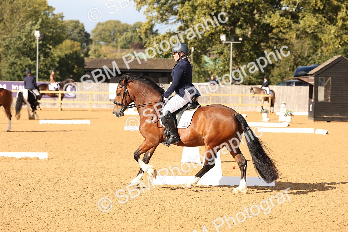SBM_27017 - D17 - Grand Tour Championship Novice 3