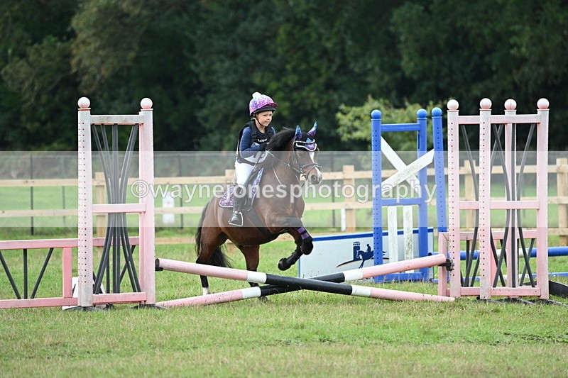 WJ6_0194 - 40cm Time 10:00 to 10:28
