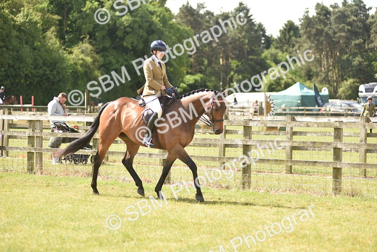 SBM_15069 - Class 113-114 - Retraining of Racehorses Ridden