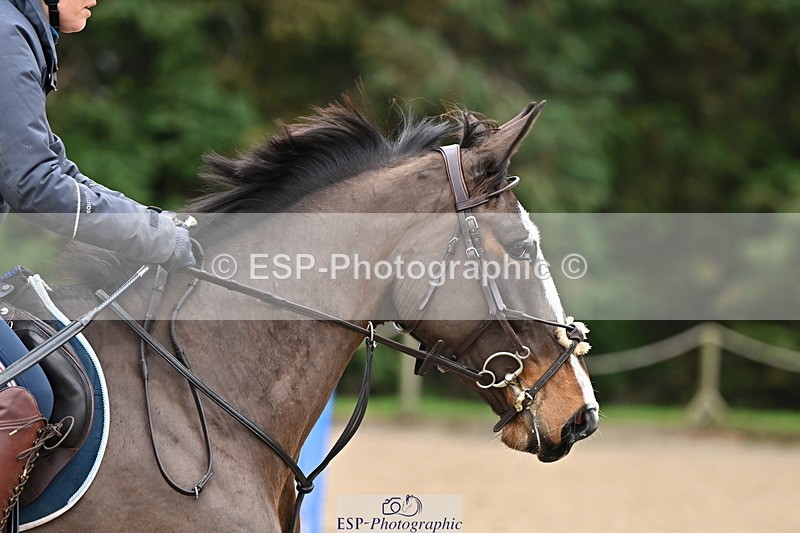 250201A-120102-00567 - Cls 02 Local Horse 100cm