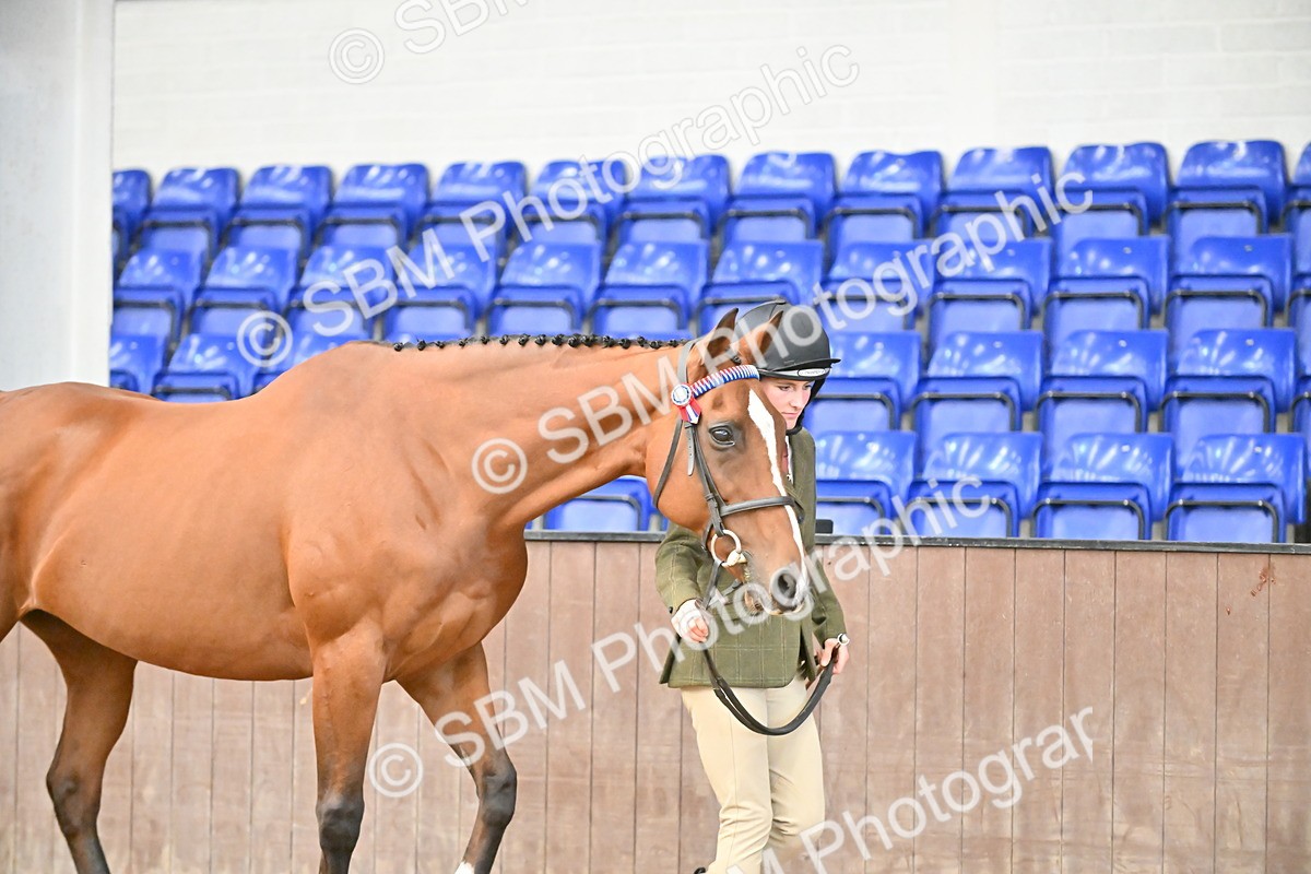 SBM_000108 - Class 6 - BSHA In Hand Racehorse to Show Horse