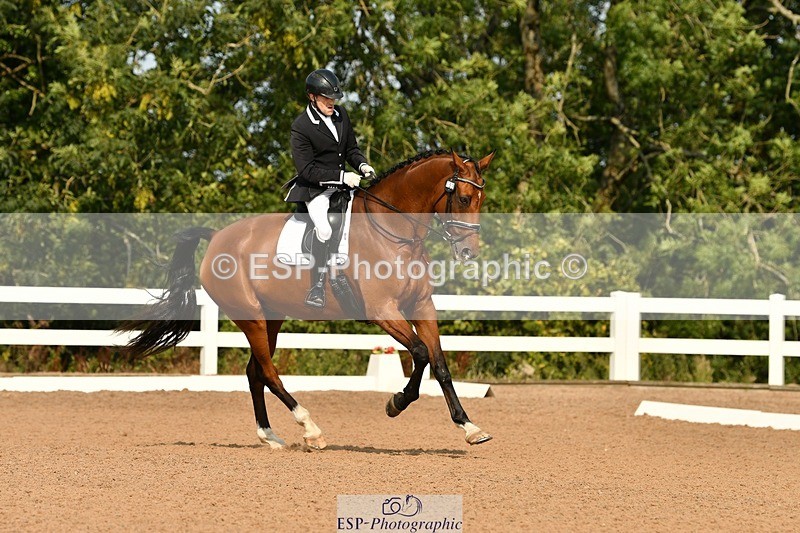 250817-101718-07816 - 153-Gary.ShimminKashmir.MMXXVIII