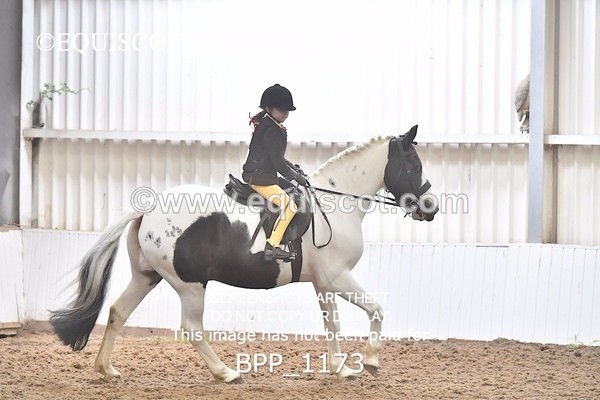 BPP_1173 - RING 2
