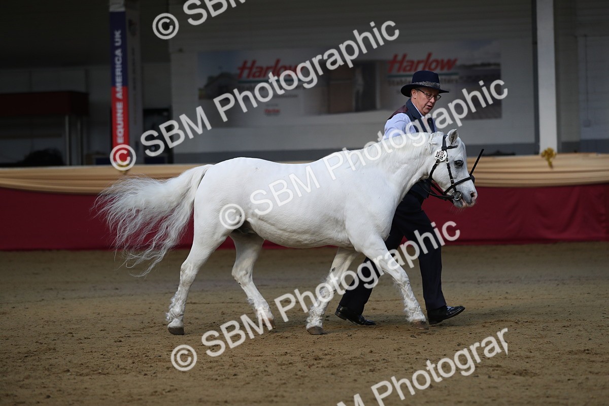SBM_00552 - class 2a Area IH Veteran