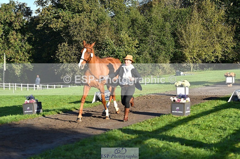 231022-093102-21846 - 607-RICO.III-Alison.Stewart-TrotUp+SJ