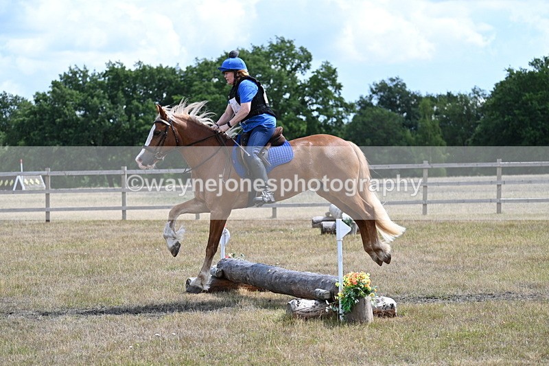 WJ7_0597 - 40cm Time 12:10 to 12:20