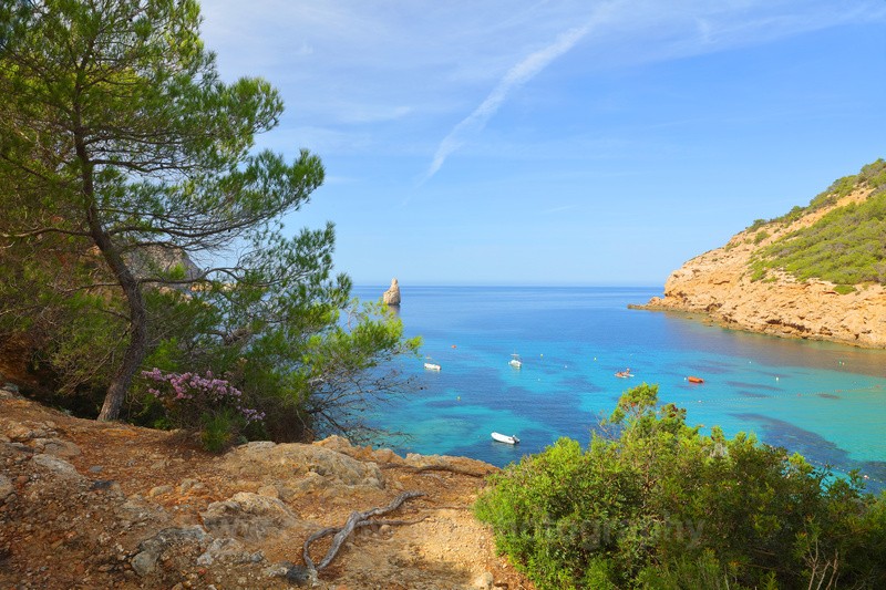 Stunning Turquoise sea at Benirras Beach, Ibiza, Spain.  ref0217 - Europe