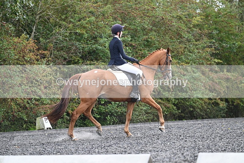 WJ7_6766 - Time 14:49 to 15:14