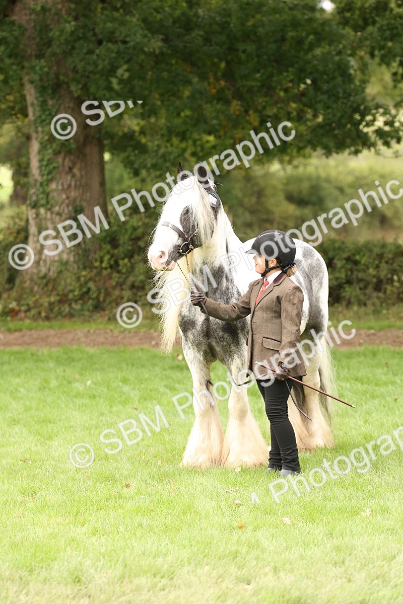 SBM_59314 - S57 - Traditional Cob In Hand