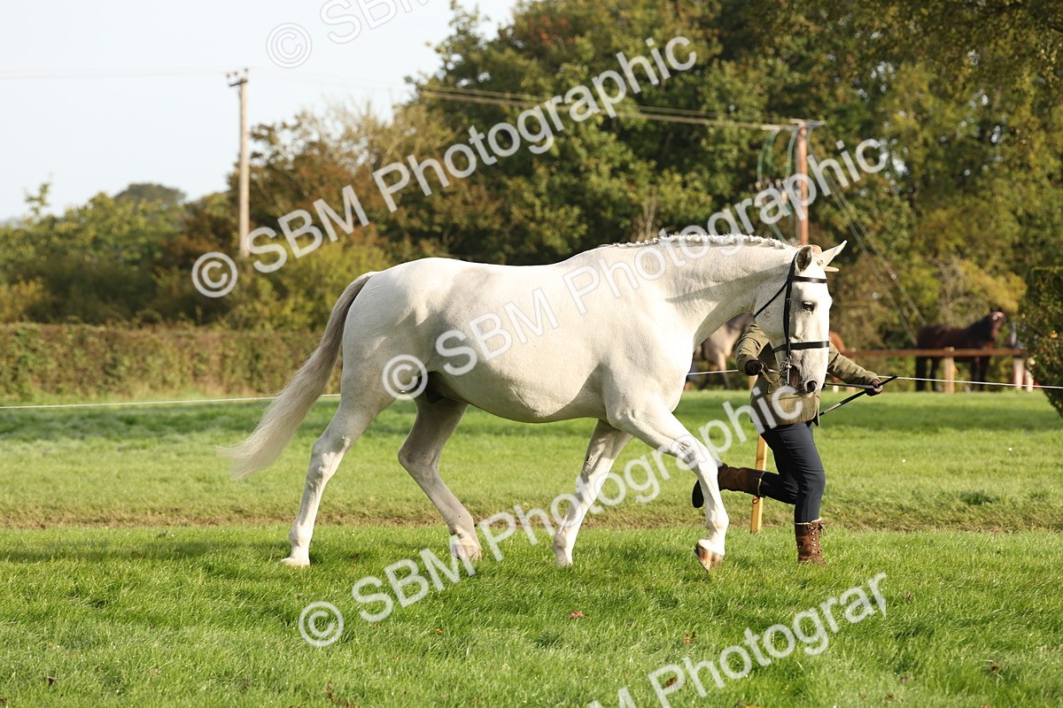 SBM_54687 - S53 - Hunter In Hand