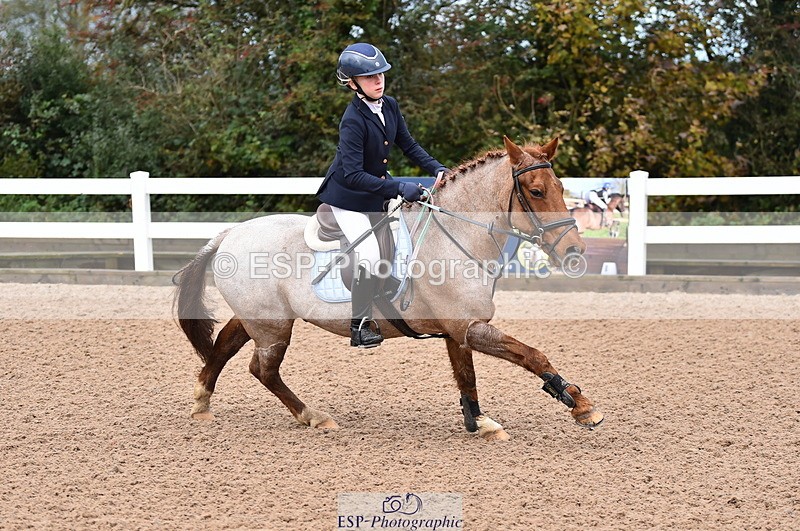 231029A-103114-02312 - 70cm Pony Intro