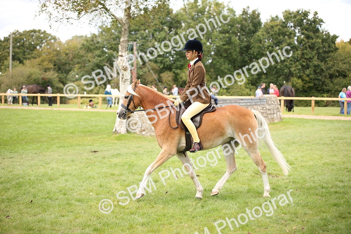 SBM_42348 - S13 - Pony Club Pony