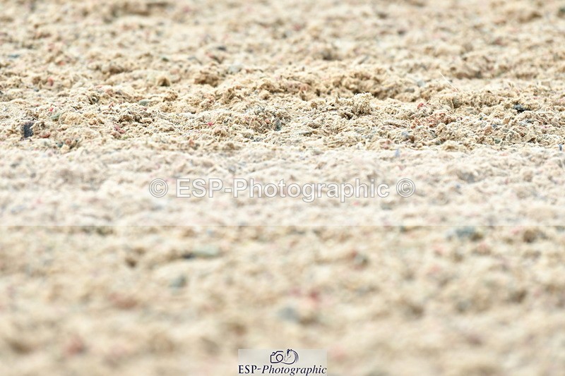 230708A-140315-03355 - Prelim 14