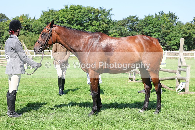 3E7A8488 - Class 4: Novice working Hunter