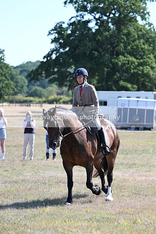 WJ7_3908 - Class 9 Mountain & Moorland Ridden