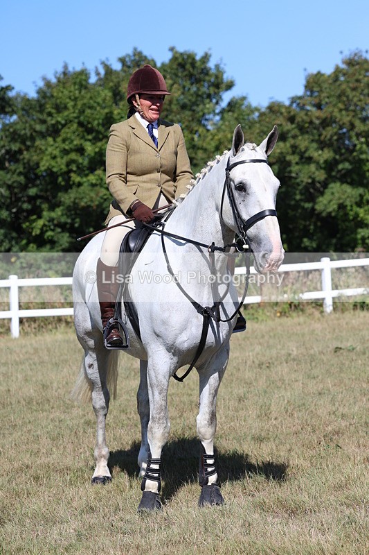 3E7A5883 - Class 5: Working Hunter 90cm