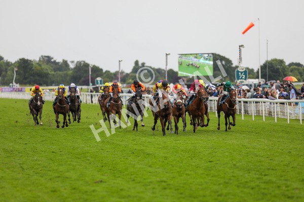 150624-Race 6-Pisanello-6232 - Race 6 4.45pm Ice Co Supporting Macmillan Handicap