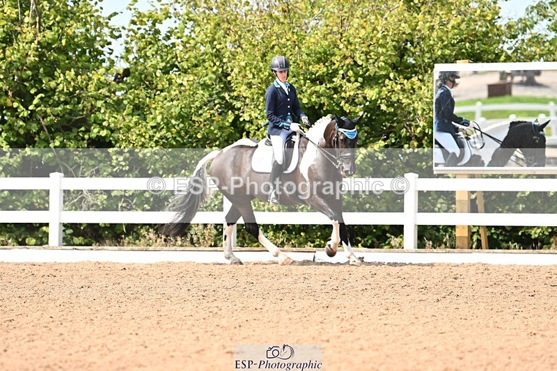 250815-112614-00608 - 037-Alys.MatraversTiger.Mazariti