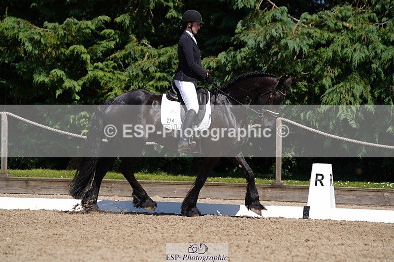 240719-145620-02457 - 274-Paige_Beattie-Orcaber_Dark_Secret
