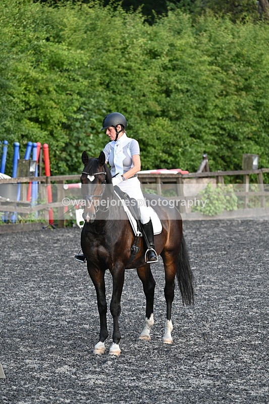 WJ7_0604 - Time 19:38 to 20:00