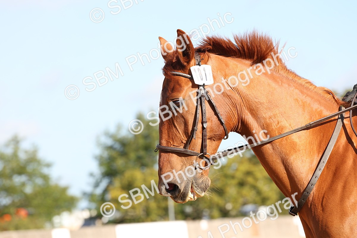 SBM_16069 - D10 - Small Tour Championship Prelim 2