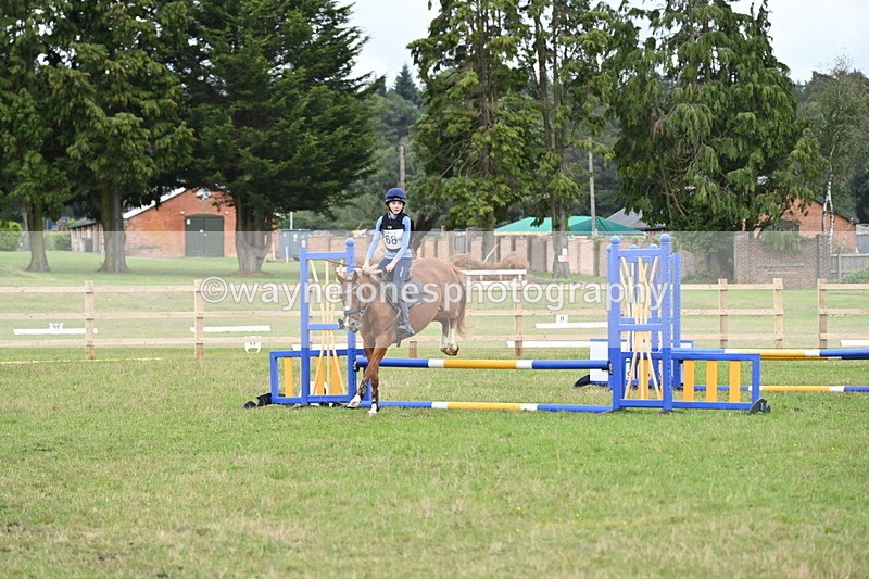 WJ6_1950 - 60cm Time 12:30 to 12:49