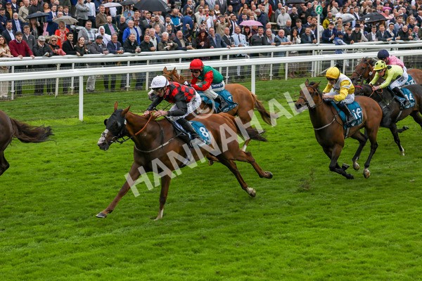 130724-Race 1-Blue For You-1947 - Race 1 2.00pm John Smith's Racing Handicap