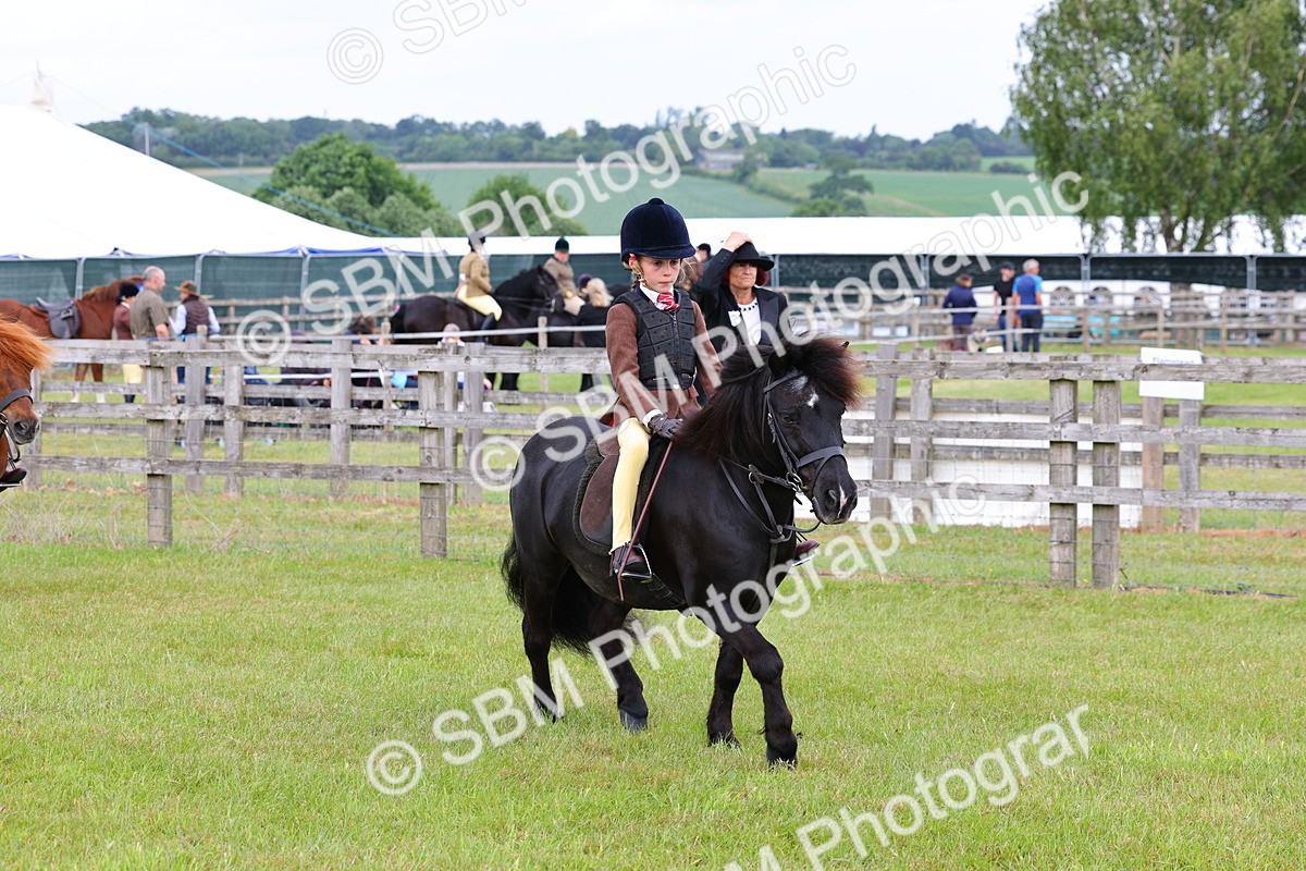 SBM_08563 - Class 42-43 - LIHS BSPS Heritage Working Sports Pony